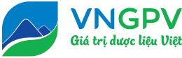 VNGPV – Công ty CP Thung lũng Dược Phẩm Xanh Việt Nam